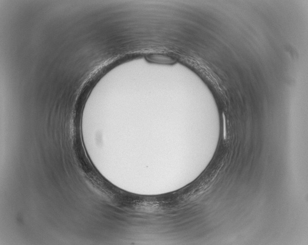 X0000115650252200912081131