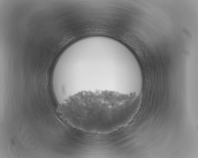 X0000115650255200912081131