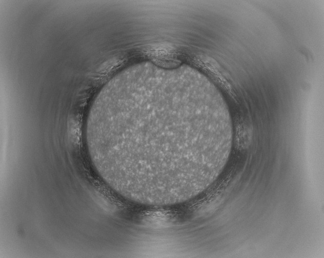 X0000115650259200912081131