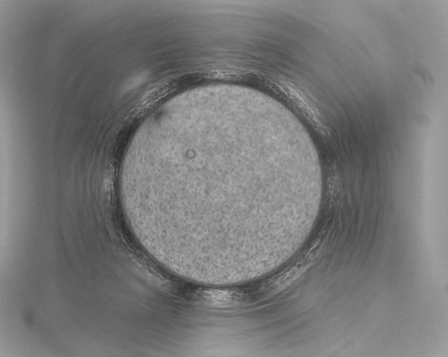 X0000115650265200912081131