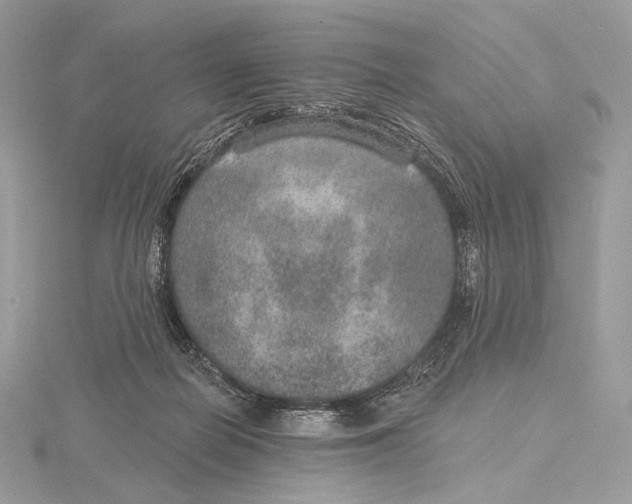 X0000115650266200912081131