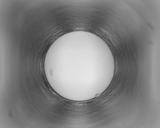 X0000115650267200912081131