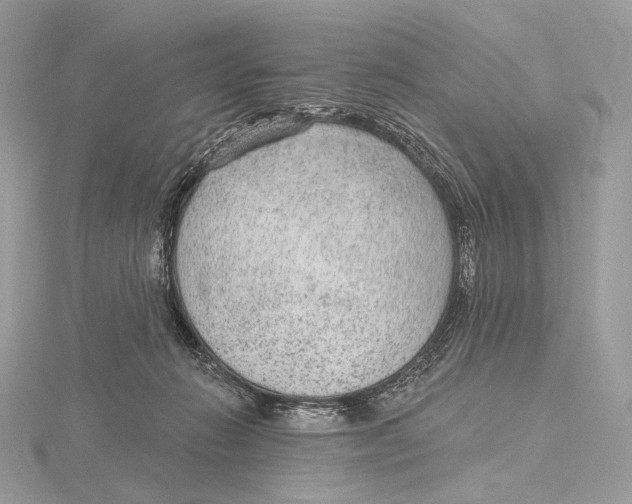 X0000115650270200912081131