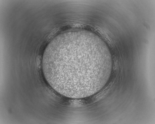 X0000115650273200912081131