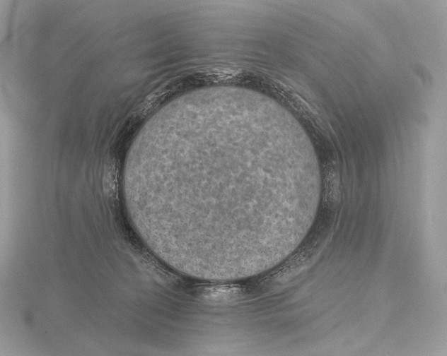 X0000115650274200912081131