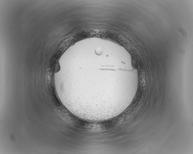 X0000115650276200912081131