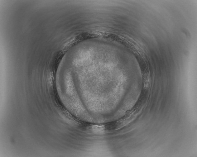 X0000115650279200912081131