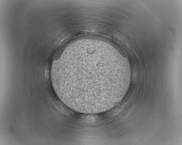 X0000115650282200912081131