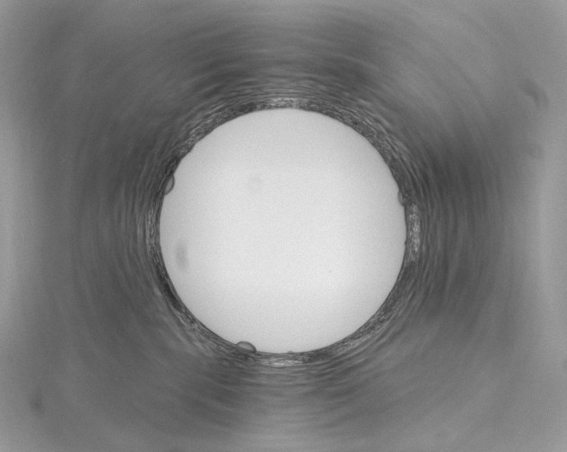 X0000115650283200912081131