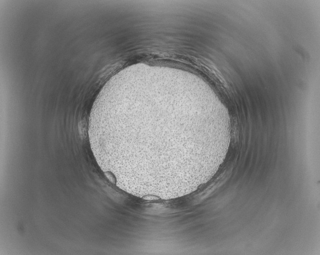 X0000115650285200912081131
