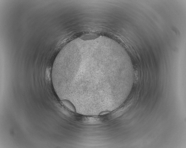 X0000115650286200912081131