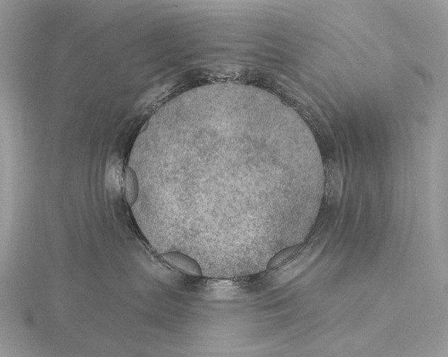 X0000115650287200912081131