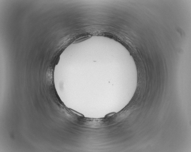 X0000115650288200912081131