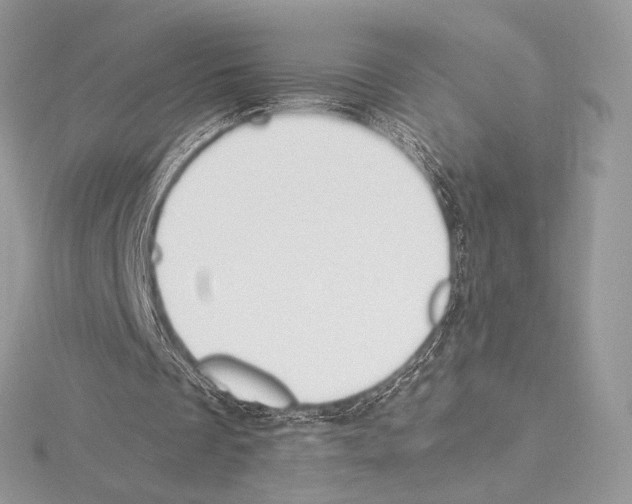 X0000115650289200912081131