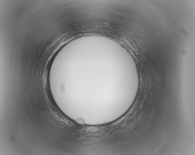 X0000115650290200912081131