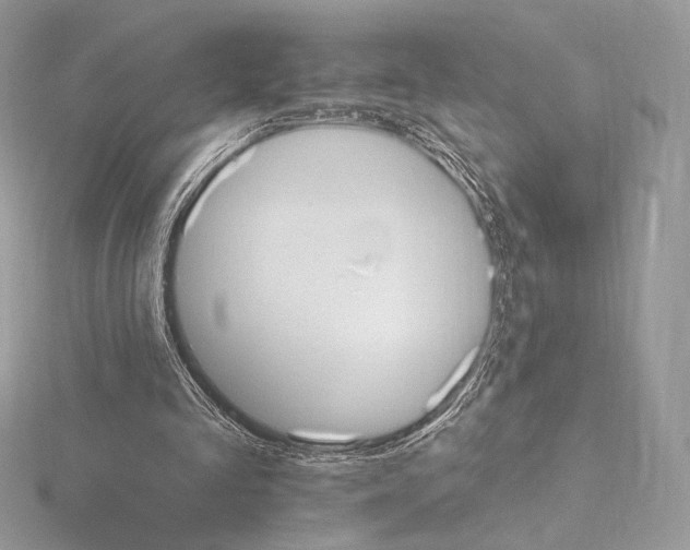 X0000115650293200912081130