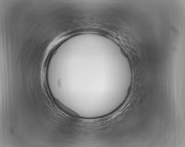 X0000115650294200912081130
