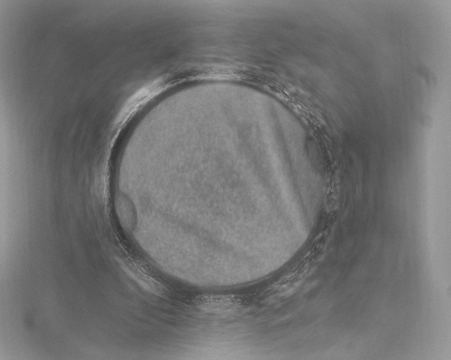 X0000115650296200912081130