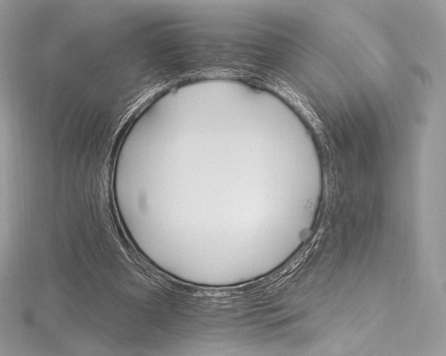 X0000115650297200912081130