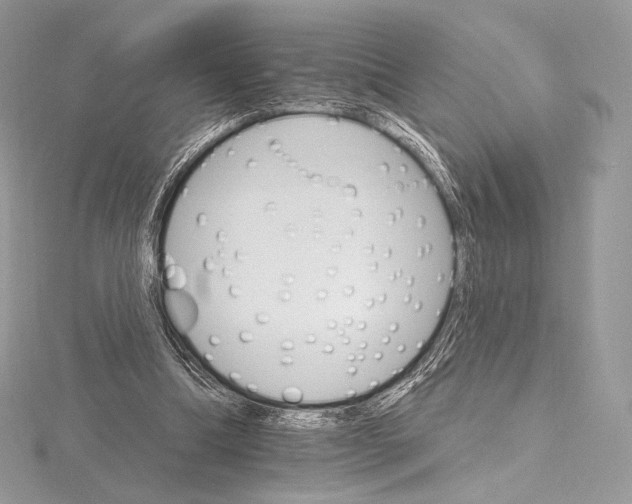 X0000115650298200912081130