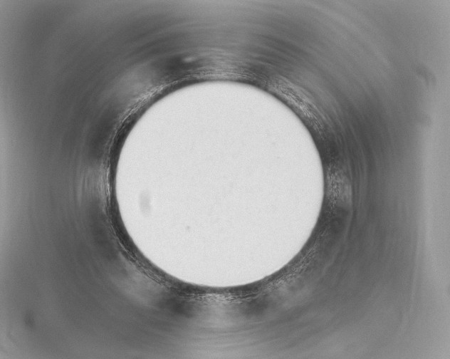 X0000115650302200912081130