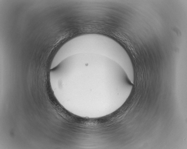 X0000115650308200912081130