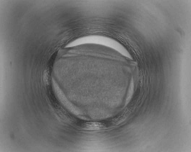X0000115650316200912081130