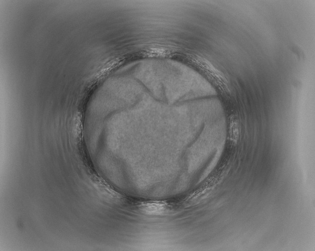 X0000115650318200912081130