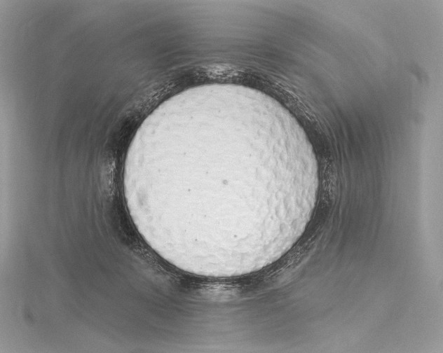 X0000115650319200912081130