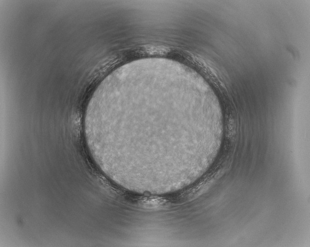 X0000115650321200912081130