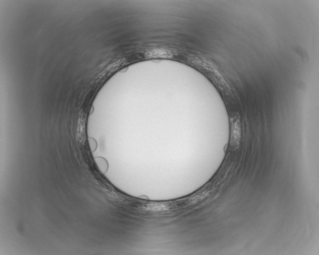 X0000115650322200912081130
