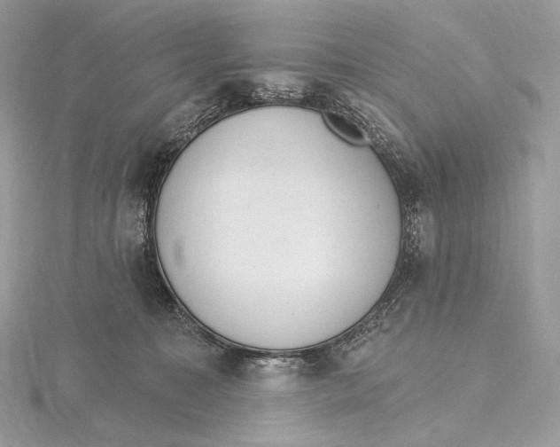 X0000115650323200912081130