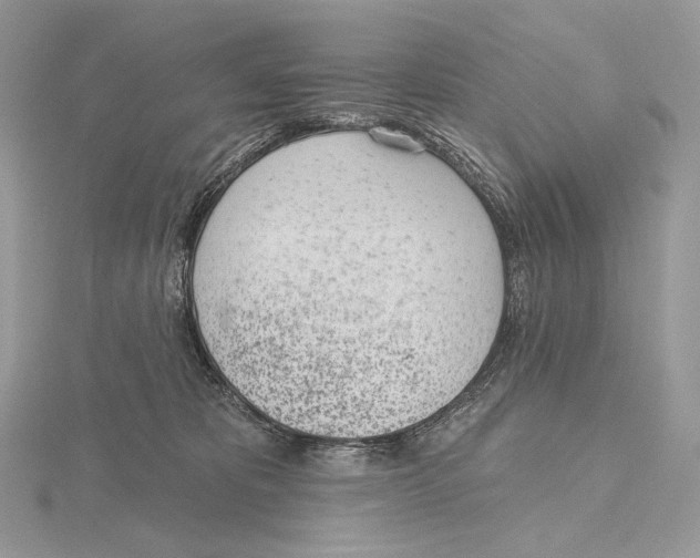 X0000115650325200912081130