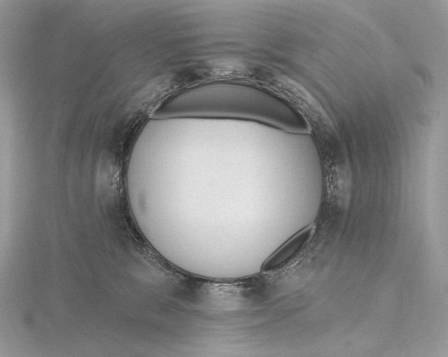 X0000115650327200912081130