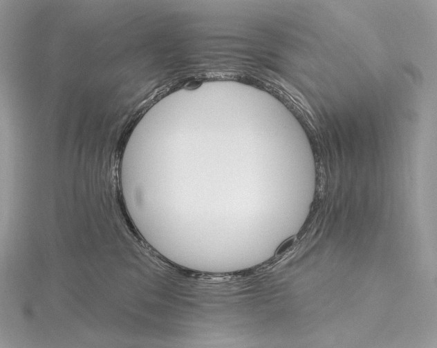 X0000115650329200912081130