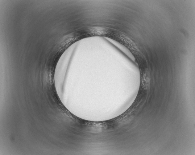 X0000115650330200912081130