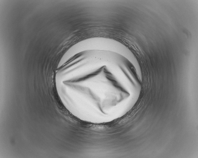 X0000115650332200912081130