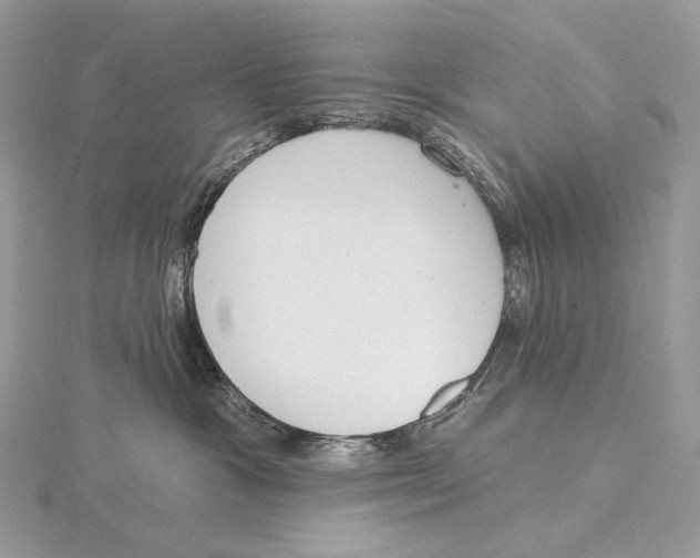 X0000115650333200912081130