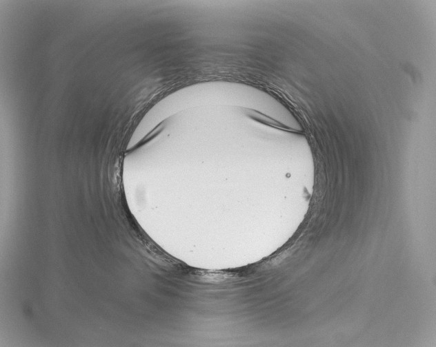 X0000115650336200912081130