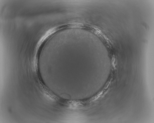 X0000115650343200912081129