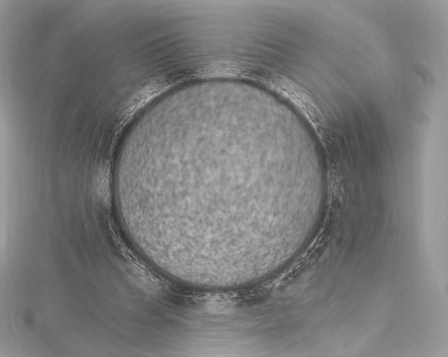 X0000115650345200912081129