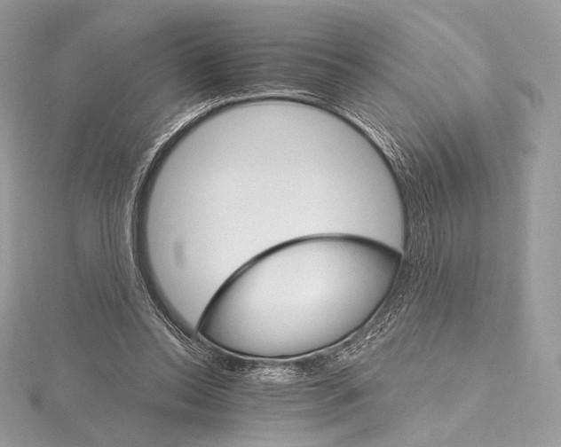 X0000115650350200912081129
