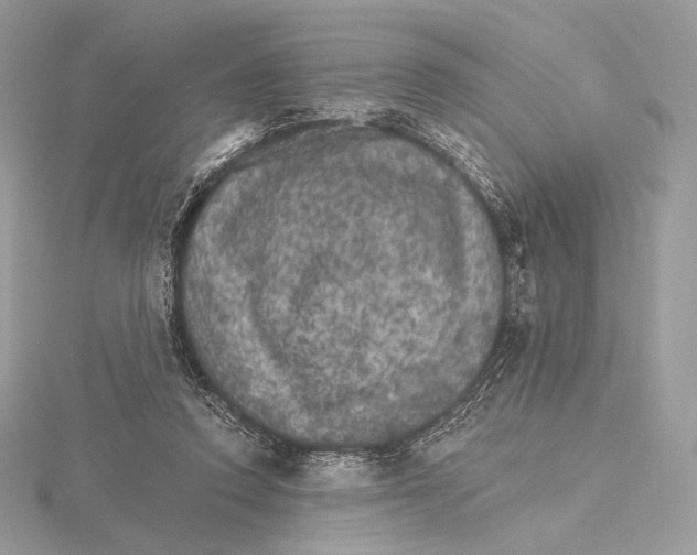 X0000115650354200912081129