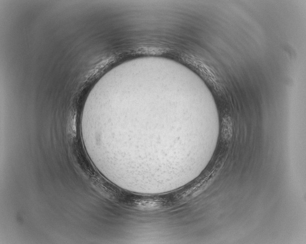 X0000115650358200912081129