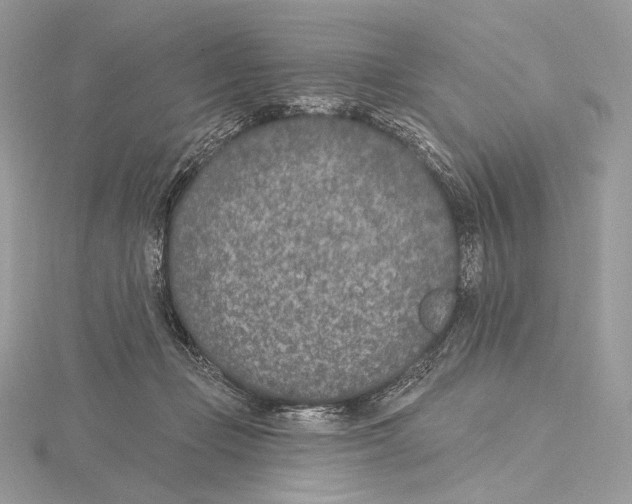 X0000115650365200912081130