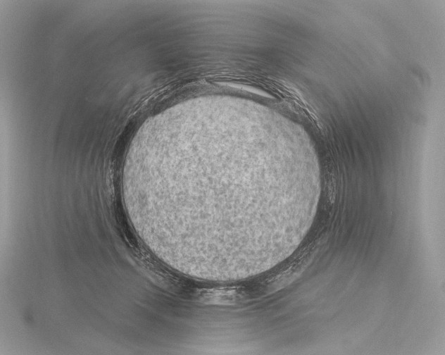 X0000115650366200912081130