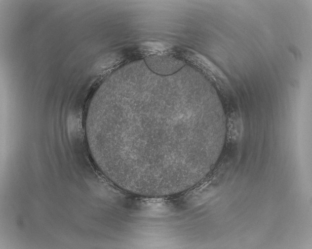 X0000115650377200912081130
