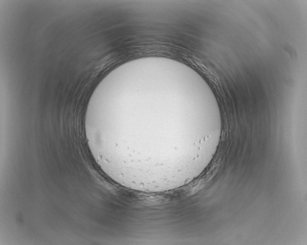 X0000115650379200912081130