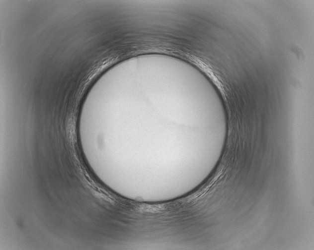 X0000115650386200912081129