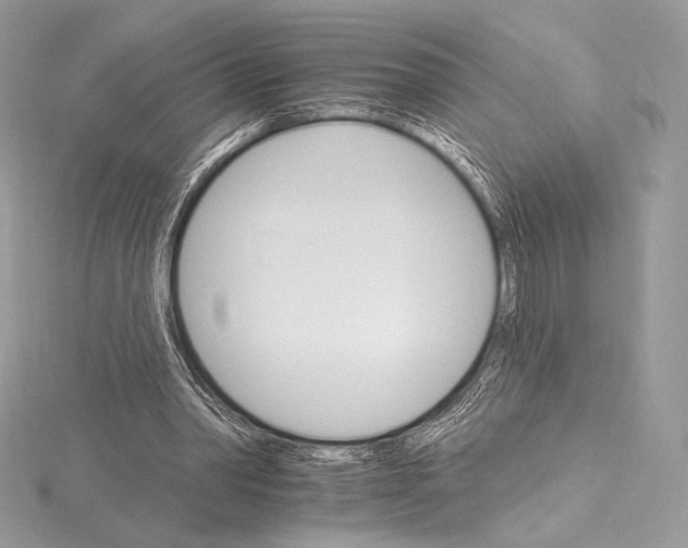 X0000115650390200912081129